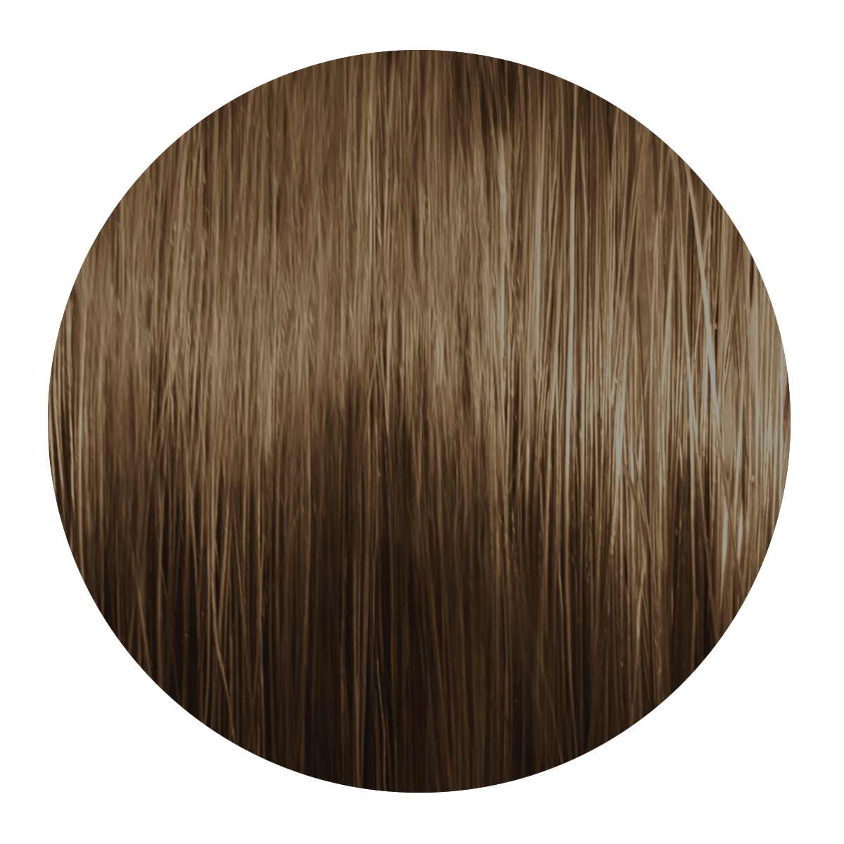 MSC 6.0 DUNKELBLOND 60 ML