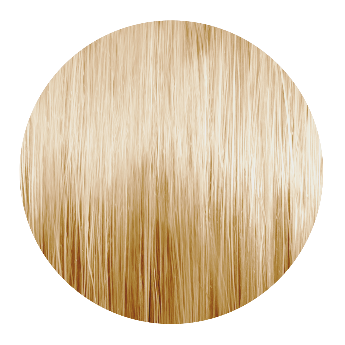 MSC 10.0 LICHTBLOND 60 ML