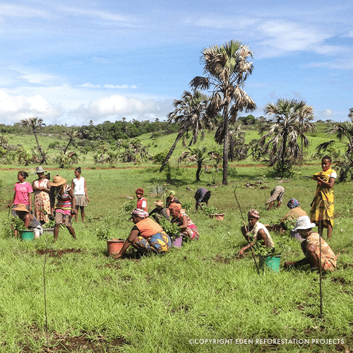 Image Eden Reforestation Projects | Leute bei der Pflanzung junger Bäume