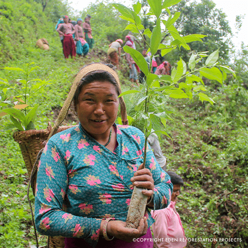 Image Eden Reforestation Projects | Nawalparasi - Anpflanzungsaktivitäten