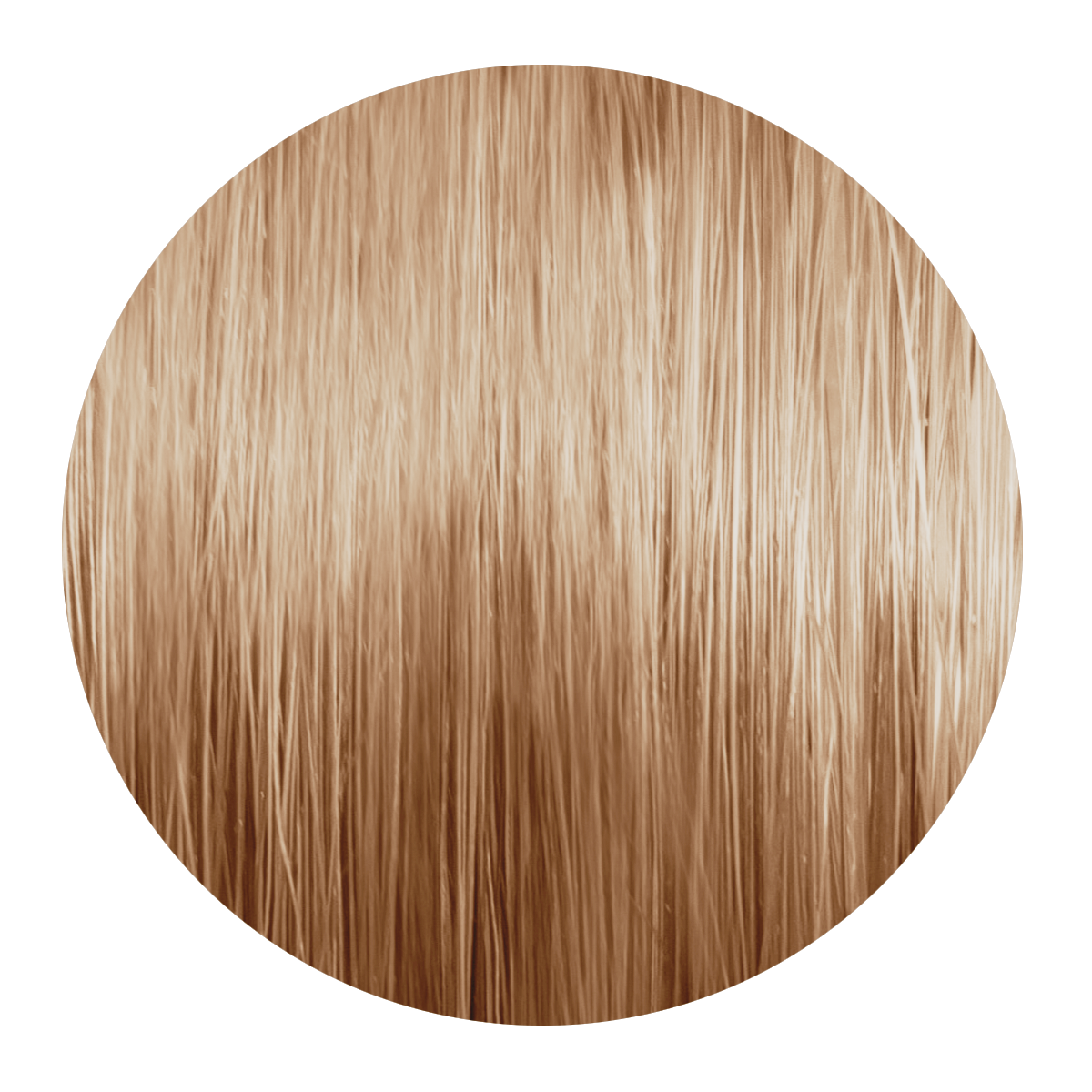 MSC 8.0 HELLBLOND 60 ML