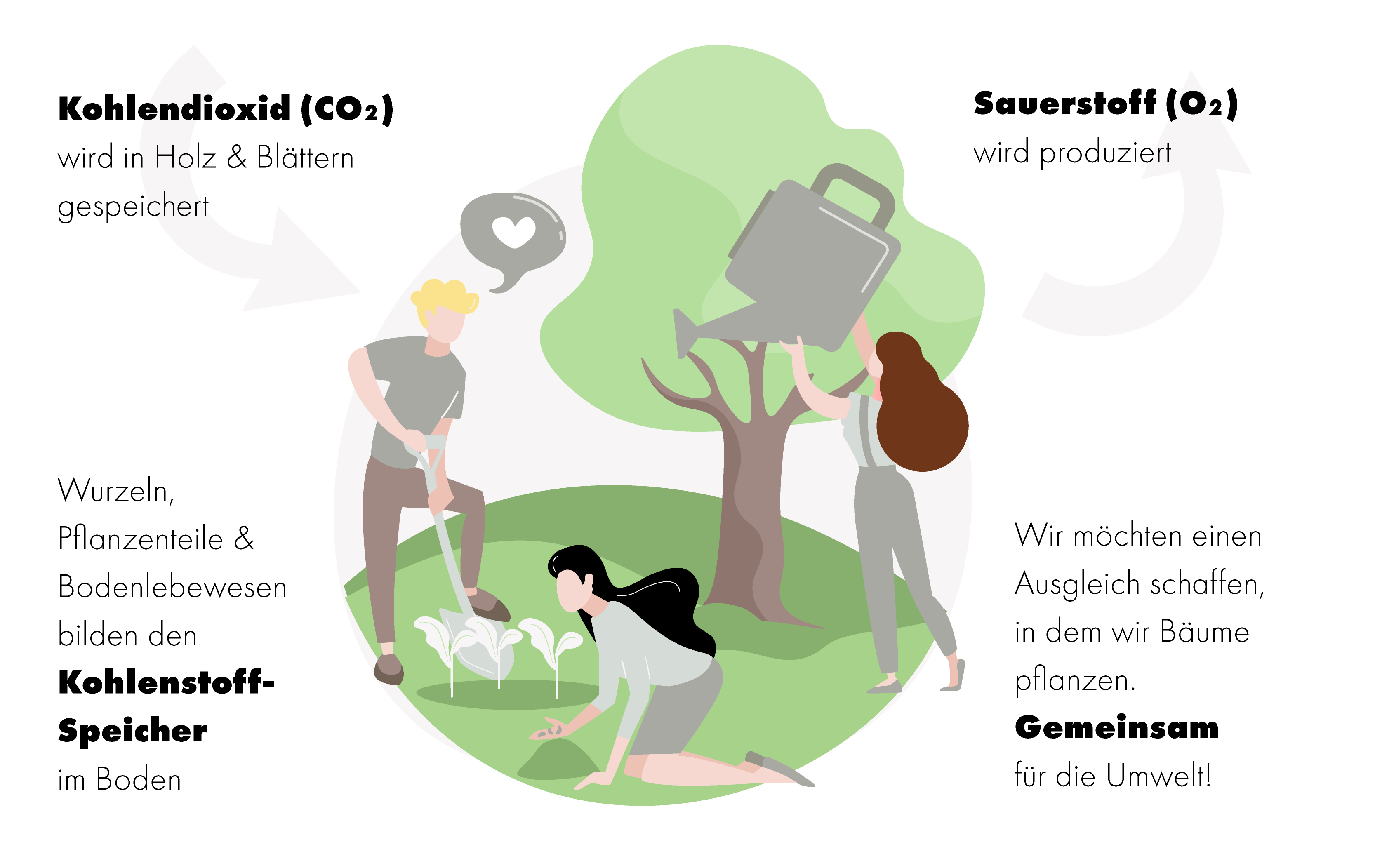 Grafik 2 | CO2 Bindung eines Baumes mit Stichpunkten