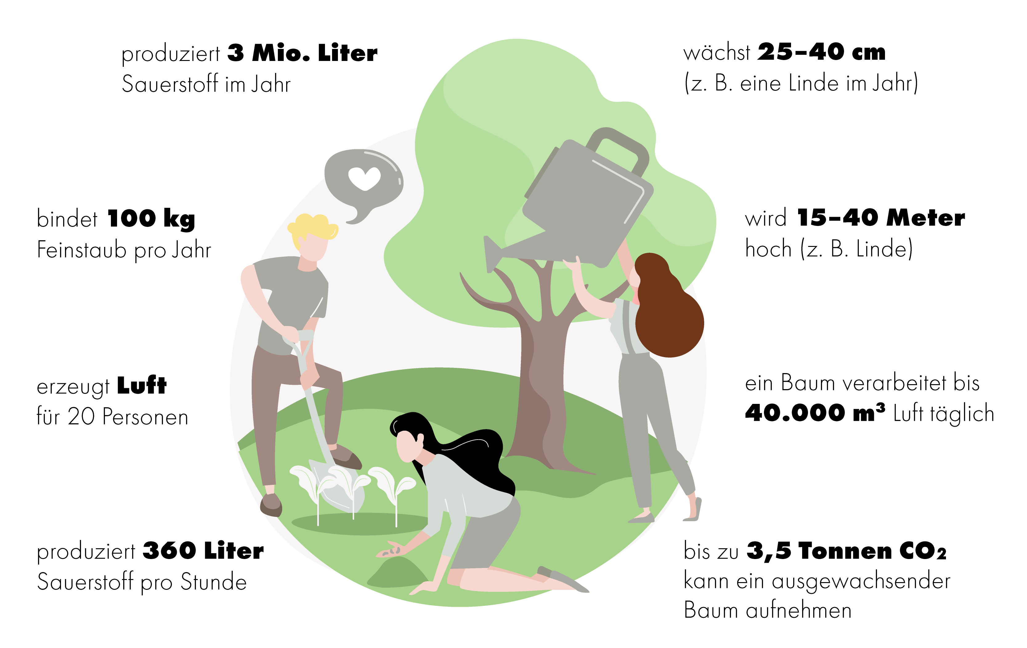 Grafik 1 | CO2 Bindung eines Baumes mit Stichpunkten
